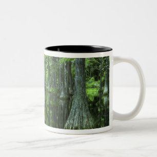 Tasse 2 Couleurs États-Unis, Floride, Forêt nationale d'Apalachicol