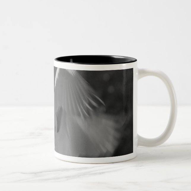 Tasse 2 Couleurs États-Unis, Floride, Grande Aigrette (Ardea alba)  (Droit)