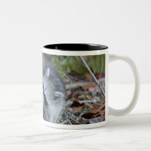 Tasse 2 Couleurs États-Unis, Floride, Sanibel, Ding Darling Nationa