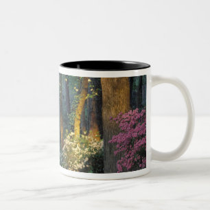 Tasse 2 Couleurs États-Unis, Géorgie, Callaway Gardens, forêt d'