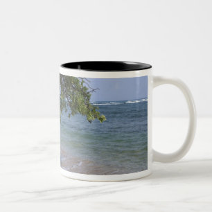 Tasse 2 Couleurs États-Unis, Hawaï, Kauai, paysage de plage. RF)
