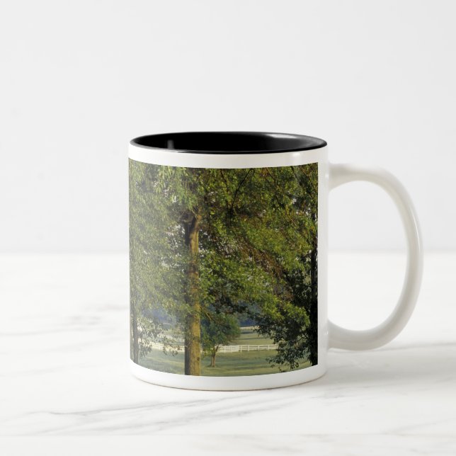 Tasse 2 Couleurs États-Unis, Kentucky, Lexington. Rangée d'arbres e (Droit)