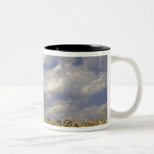 Tasse 2 Couleurs États-Unis, Kentucky, Louisville. Récolte de blé e