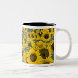 Tasse 2 Couleurs États-Unis, Kentucky Motif dans un champ cultivé