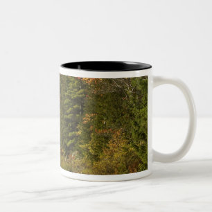 Tasse 2 Couleurs États-Unis; Maine; Parc national d'Acadia. Reflets