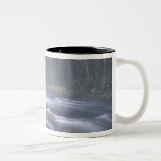 Tasse 2 Couleurs États-Unis, New York, Adirondacks, Big Moose River (Droit)