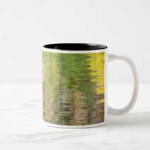 Tasse 2 Couleurs États-Unis, New York, Adirondacks, reflets dans l'