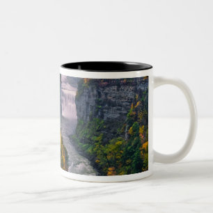 Tasse 2 Couleurs États-Unis, New York, Letchworth State Park. Riviè