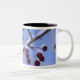 Tasse 2 Couleurs États-Unis, Nouvelle-Angleterre, Massachusetts, Re