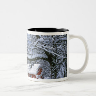 Tasse 2 Couleurs États-Unis, Oregon, comté de Clackamas. Neige fraî