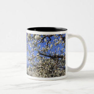 Tasse 2 Couleurs États-Unis, Oregon, Hood River Valley, Verger de p