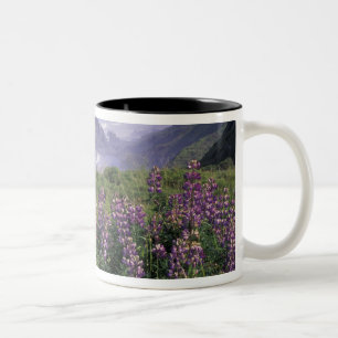 Tasse 2 Couleurs États-Unis, Oregon, Nesika Beach. Lupin et Oregon