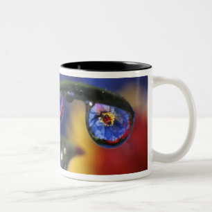Tasse 2 Couleurs États-Unis, Oregon, Portland, Gros plan de coccine