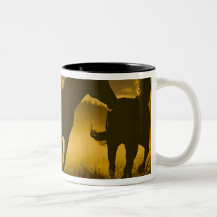 Tasse 2 Couleurs États-Unis, Oregon, Seneca, Ponderosa Ranch.