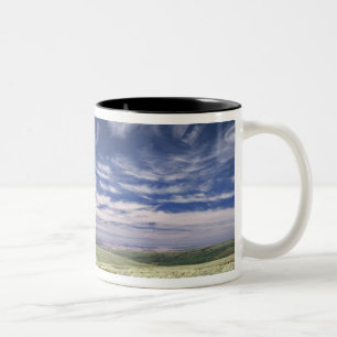 Tasse 2 Couleurs États-Unis, Oregon, Steens Mountain. Le printemps 