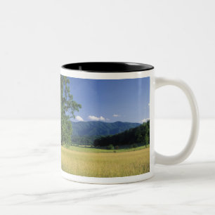 Tasse 2 Couleurs États-Unis, Tennessee. Grandes montagnes fumées 3