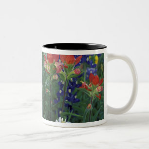 Tasse 2 Couleurs États-Unis, Texas Hill Country. Bleuets et