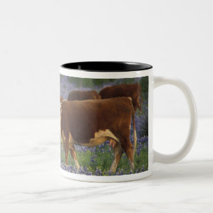 Tasse 2 Couleurs États-Unis, Texas, Texas Hill Country, Hereford