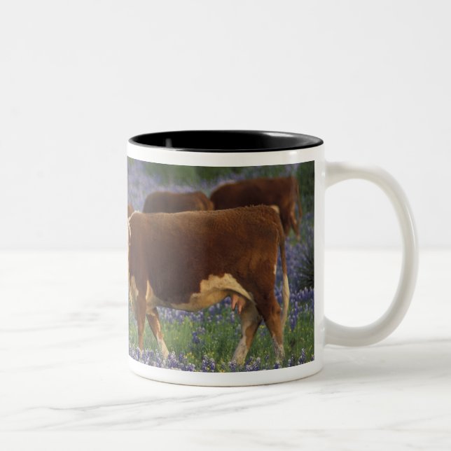 Tasse 2 Couleurs États-Unis, Texas, Texas Hill Country, Hereford (Droit)