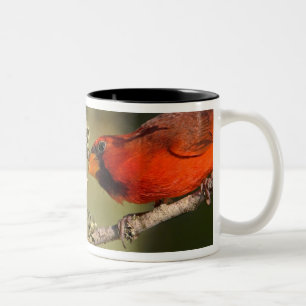 Tasse 2 Couleurs États-Unis, Texas, vallée du Rio Grande, McAllen.