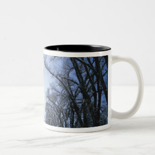 Tasse 2 Couleurs États-Unis, Utah, Salt Lake City, Liberty Park,