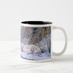 Tasse 2 Couleurs États-Unis, Utah, Zion NP. Neige fraîche sur le ca