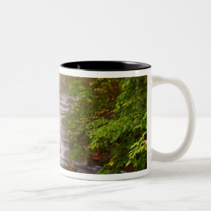 Tasse 2 Couleurs États-Unis, Vermont, East Arlington, Ruisseaux