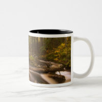 États-Unis, Vermont, East Arlington, Ruisseaux cou