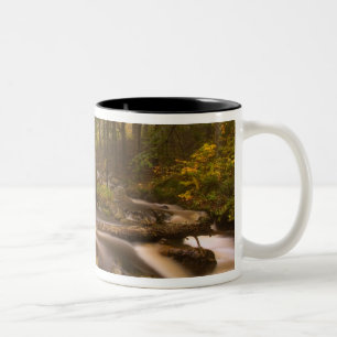 Tasse 2 Couleurs États-Unis, Vermont, East Arlington, Ruisseaux cou