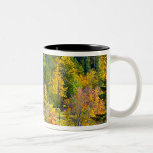 Tasse 2 Couleurs États-Unis, Vermont. Feuillage d'automne le long d