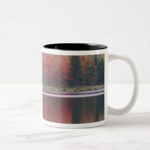 Tasse 2 Couleurs États-Unis, Vermont, lac McAllister, près de Hazen