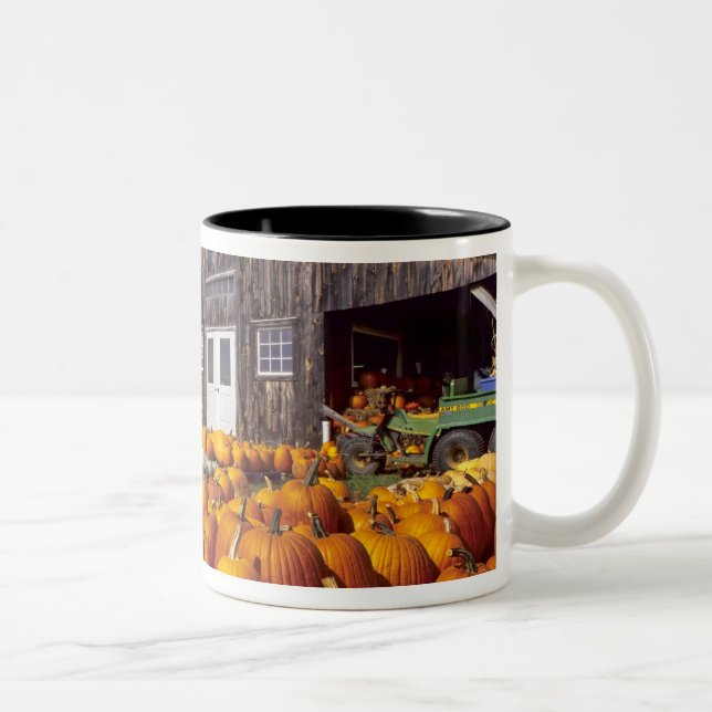 Tasse 2 Couleurs États-Unis, Vermont, Shelbourne, Citrouilles (Droit)