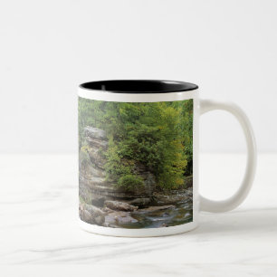 Tasse 2 Couleurs États-Unis, Virginie-Occidentale, Babcock SP. Rust