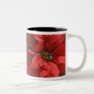 Tasse 2 Couleurs États-Unis, WA, détail de poinsettia rouge (Euphor