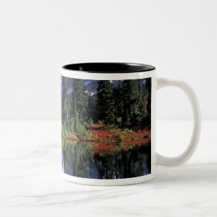 Tasse 2 Couleurs États-Unis, WA, Heather Meadows RA. Mont Shuksan à