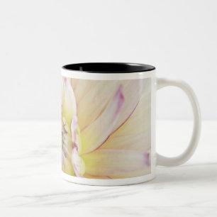Tasse 2 Couleurs États-Unis, Washington, Bellevue, Bellevue Botanic