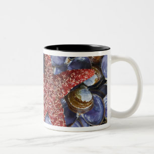 Tasse 2 Couleurs États-Unis, Washington, Hood Canal, Seabeck. Gros