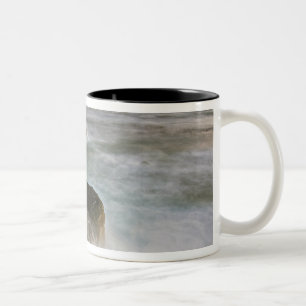 Tasse 2 Couleurs États-Unis, Washington, îles San Juan. Vagues s'é