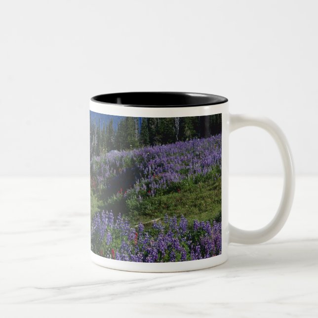 Tasse 2 Couleurs États-Unis, Washington Mt Adams Wilderness, Meadow (Droit)