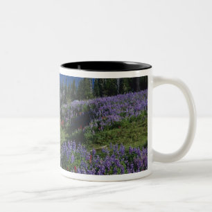 Tasse 2 Couleurs États-Unis, Washington Mt. Adams Wilderness, prair