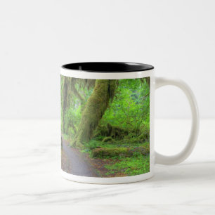 Tasse 2 Couleurs États-Unis, Washington, Parc national Olympique, H