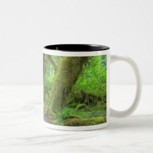 Tasse 2 Couleurs États-Unis, Washington, Parc national Olympique, H