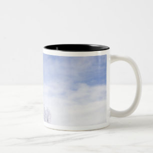 Tasse 2 Couleurs États-Unis, Washington, région de Palouse, noir gi