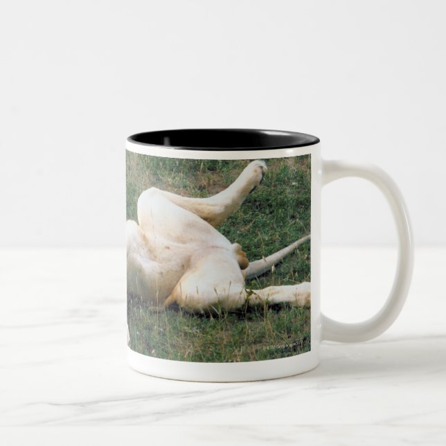 Tasse 2 Couleurs Étirage masculin de lion (Droit)