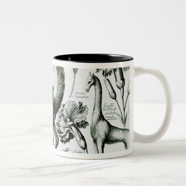 Tasse 2 Couleurs Étude des animaux et des fleurs, gravée (Droit)
