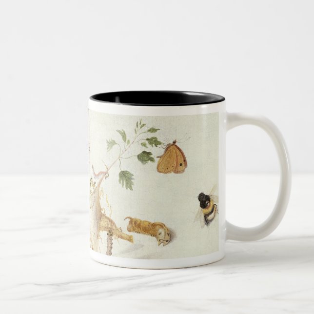 Tasse 2 Couleurs Étude des insectes et des fleurs (Droit)