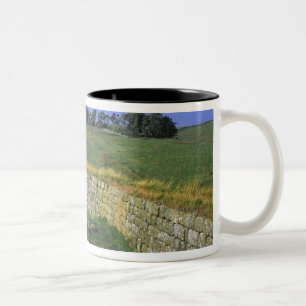 Tasse 2 Couleurs Europe, Angleterre, le mur d'Hadrien. Les pierres 