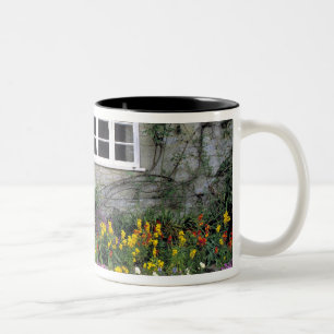 Tasse 2 Couleurs Europe, Angleterre, Teffont Magna. Les fleurs remp