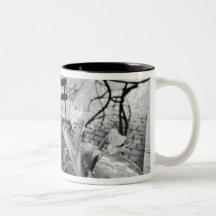 Tasse 2 Couleurs Europe, Suisse, Lucerne. Café extérieur