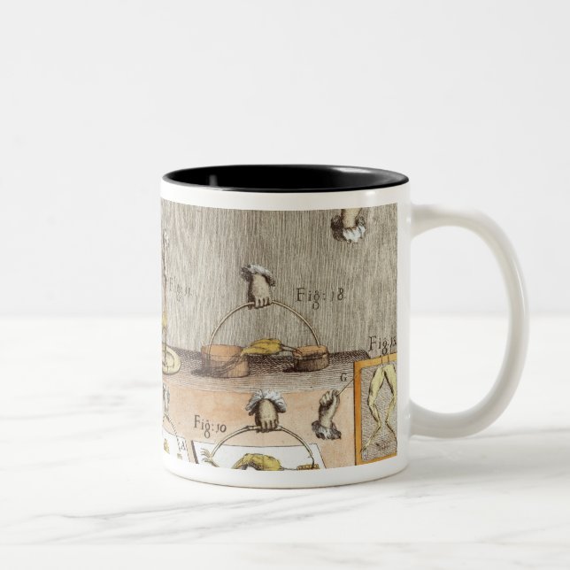 Tasse 2 Couleurs Expérience sur des grenouilles (Droit)